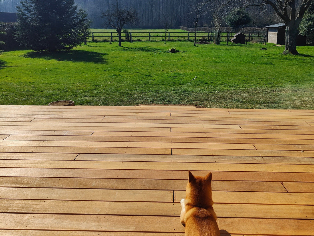 Bangkirai Decking vs Composite: Why Natural Timber Is Better