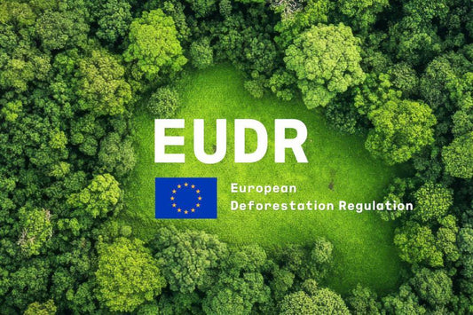 EUDR-Ready Timber Sourcing: What EU Buyers Should Ask Their Suppliers